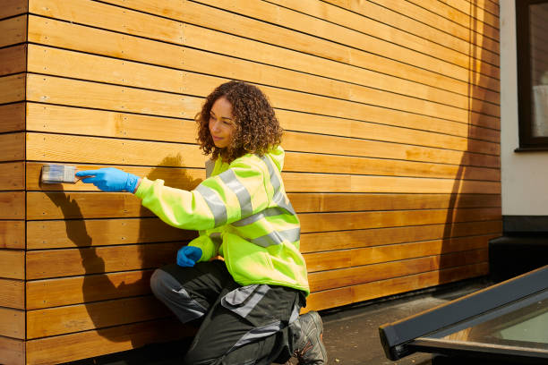 Professional Siding in Mount Hore, WI